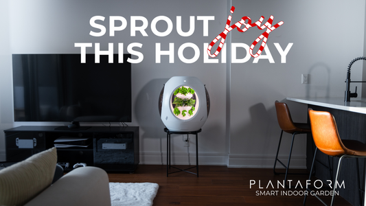 Sprout Joy this Holiday Season: The Ultimate Indoor Gardening Gift Guide