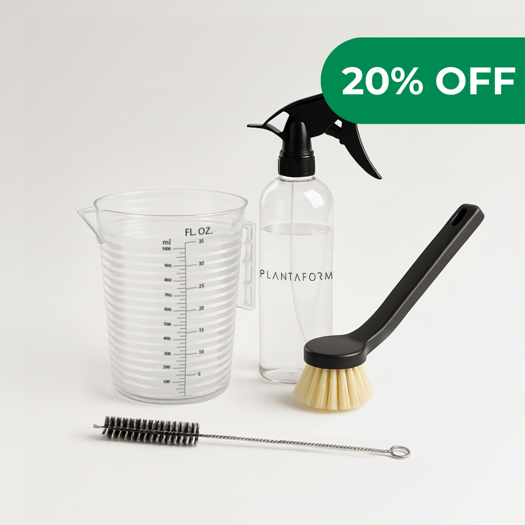 A single green leaf against a white background.