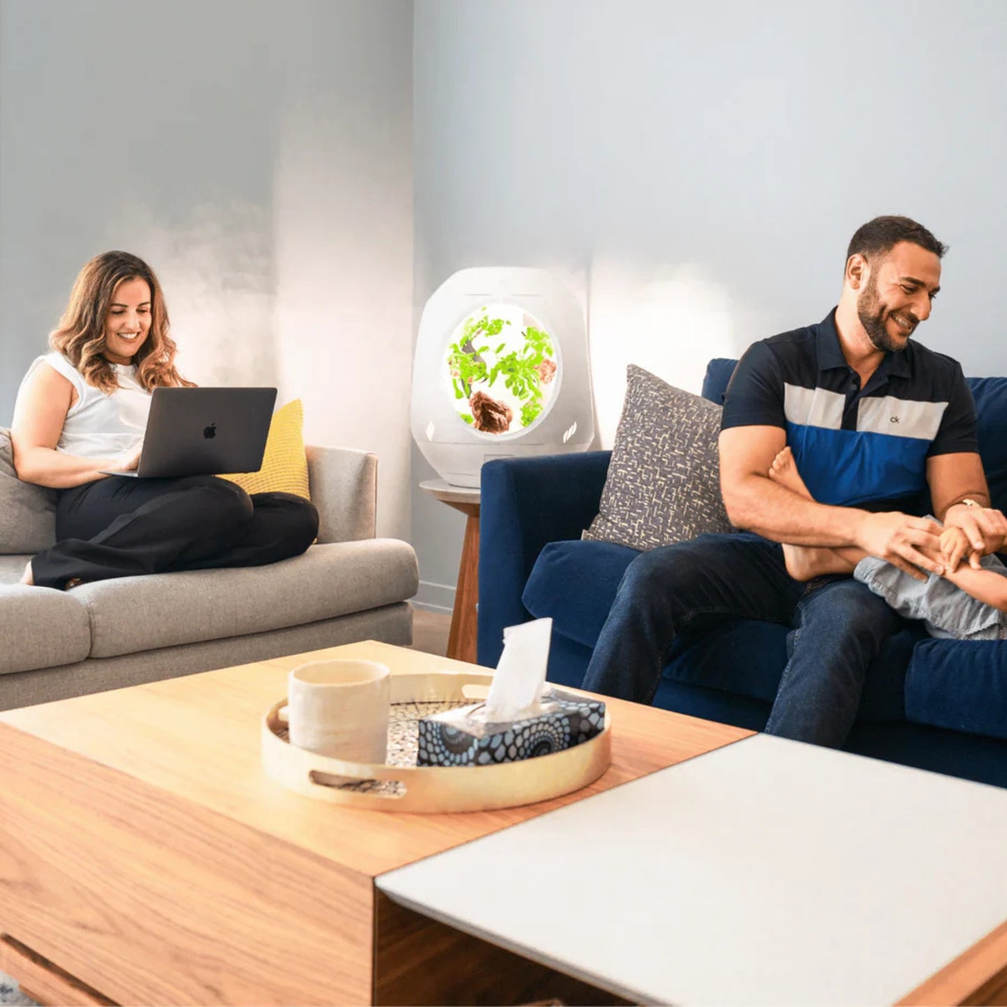 Plantaform EcoSchools Indoor Garden