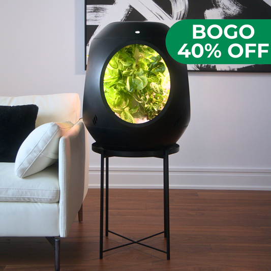 Jardin d'intérieur intelligent - Pack BOGO - Achetez-en un et obtenez-en un autre à 30 % de réduction !