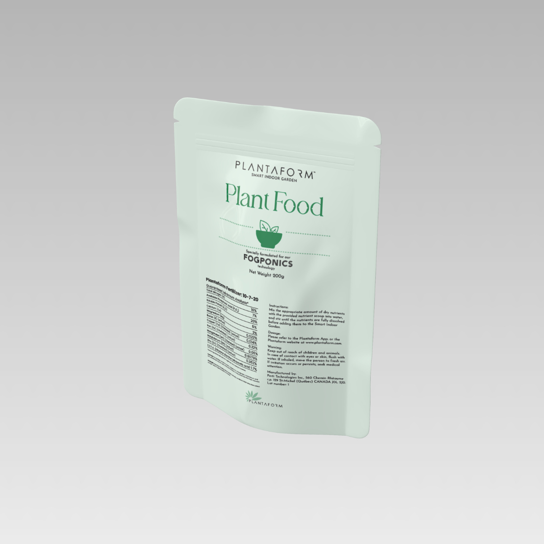 A single monstera leaf in a clear glass vase against a white background.