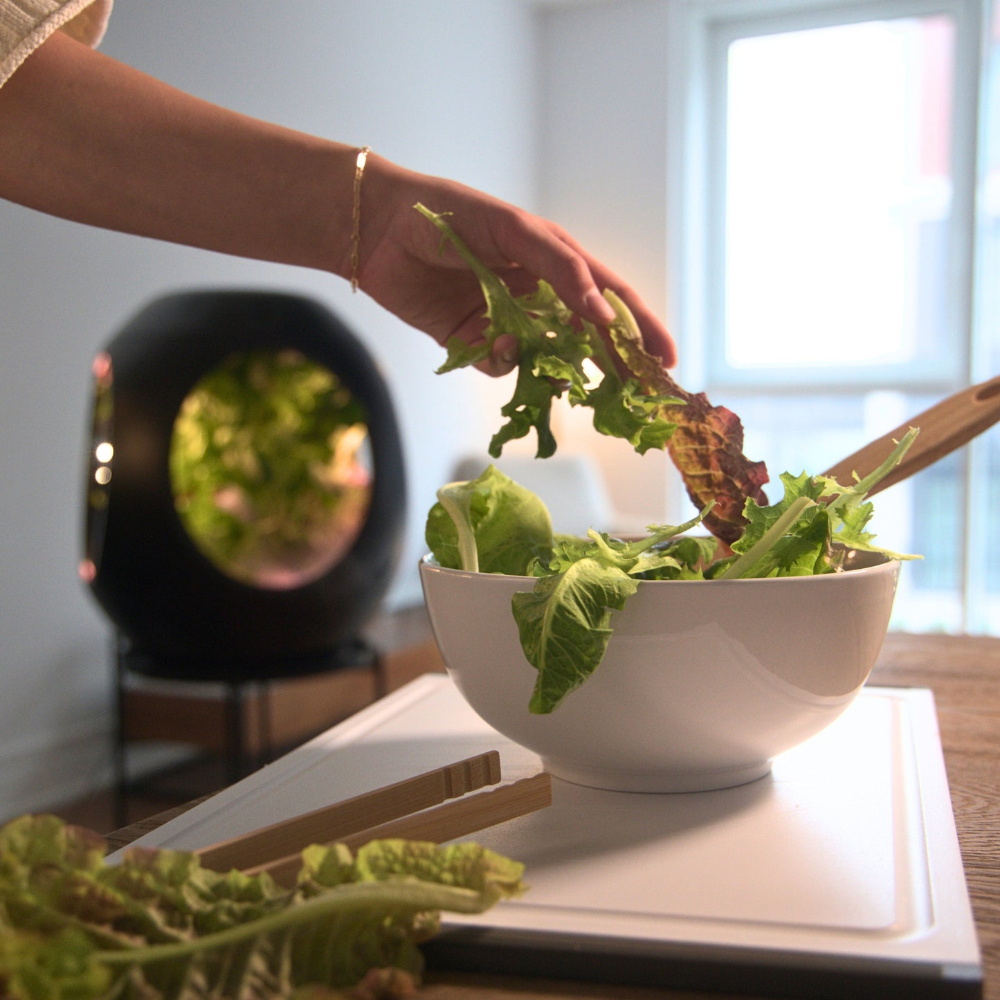 Plantaform EcoSchools Indoor Garden