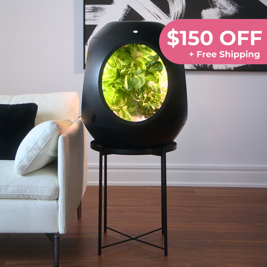 Smart Indoor Garden