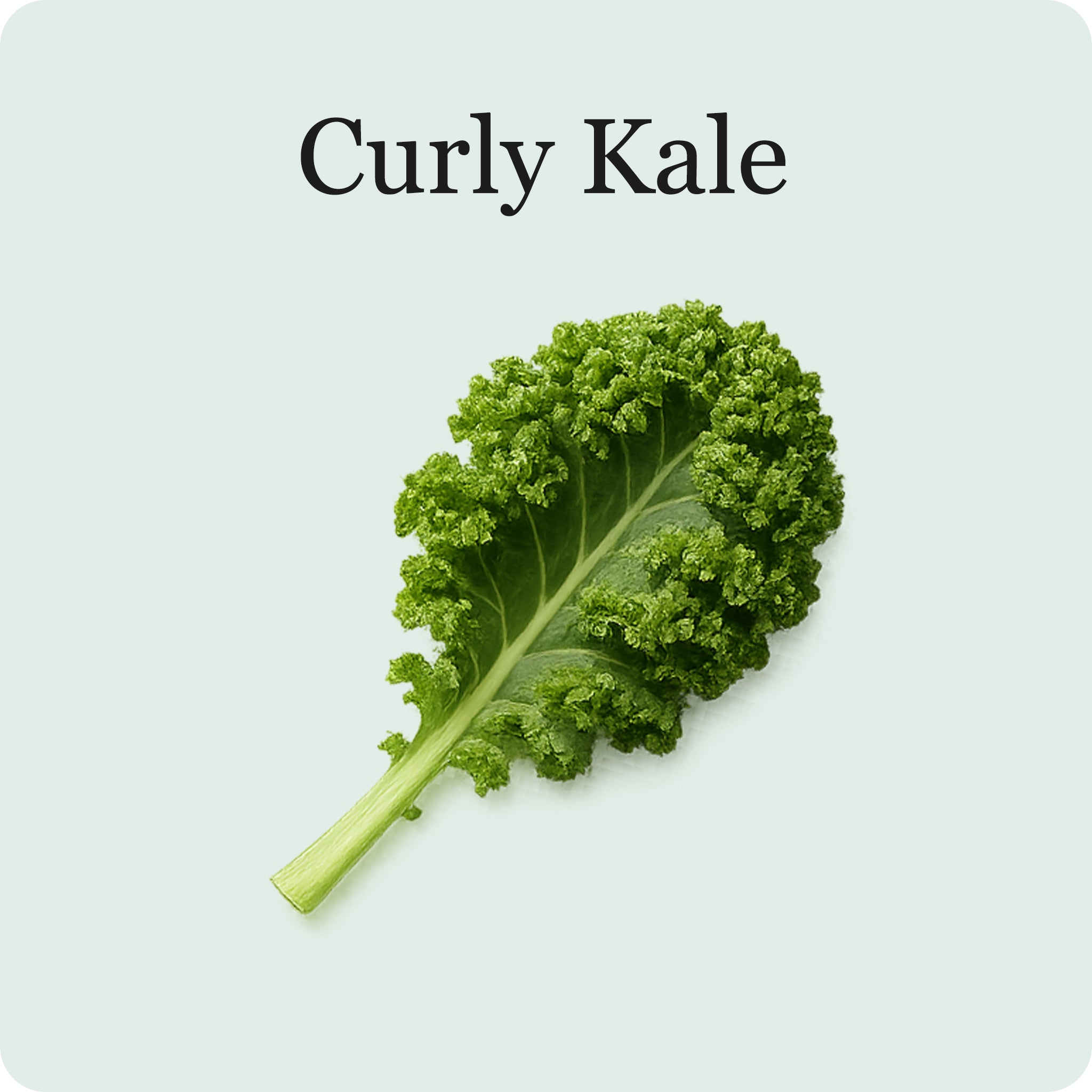 Mélange de salades de superaliments