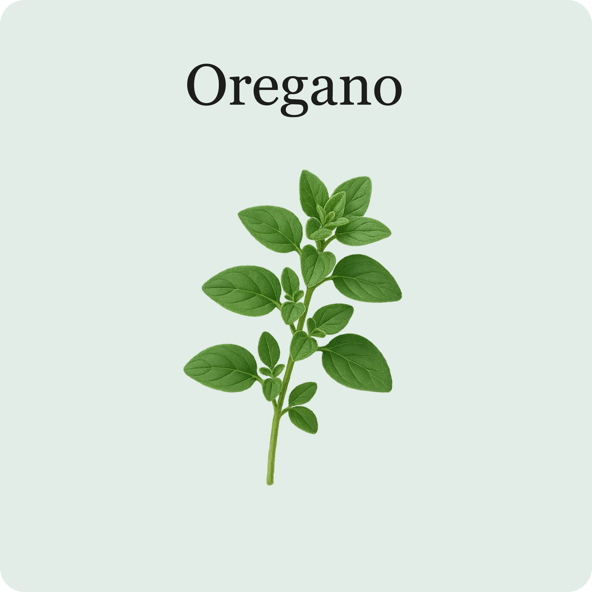 Herb Essentials