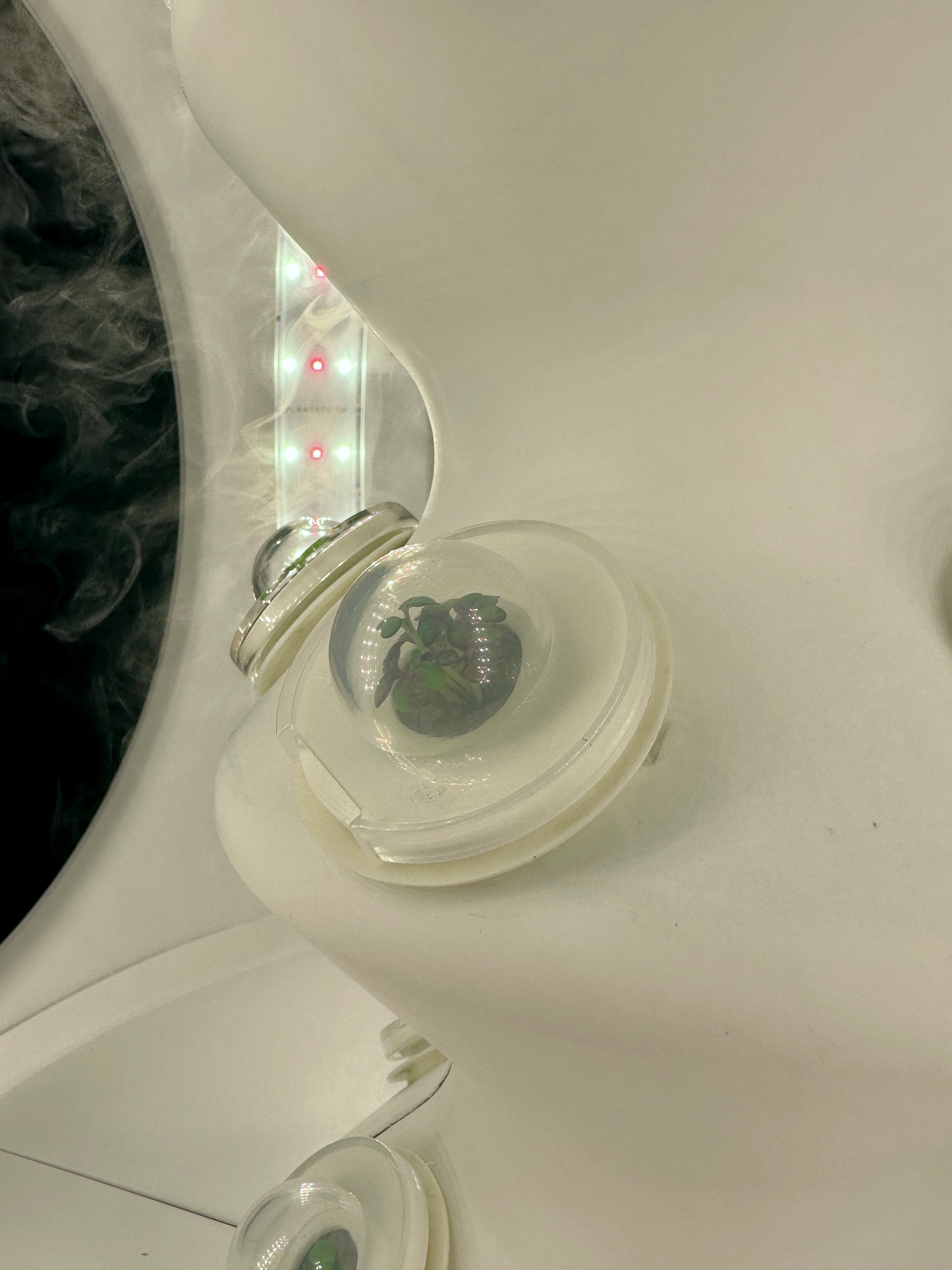 Green palm leaves against a white background.