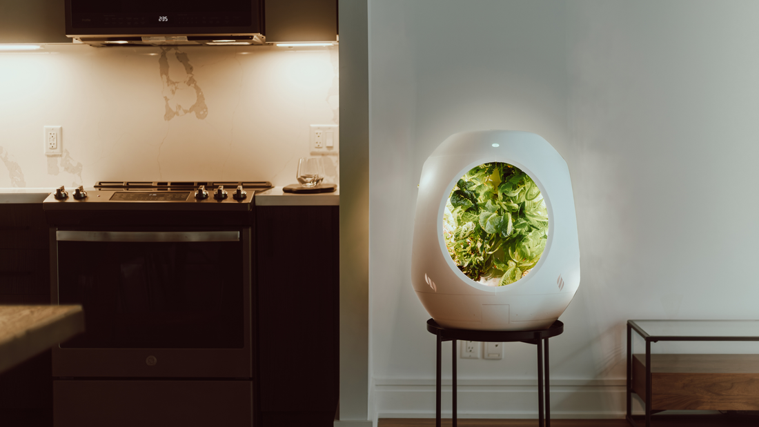 The AeroGarden Shakeup: What a Rocky Couple of Years Teaches Us About Buying a Smart Indoor Garden