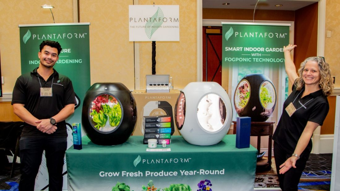 CES Best of Innovation, A Year Out