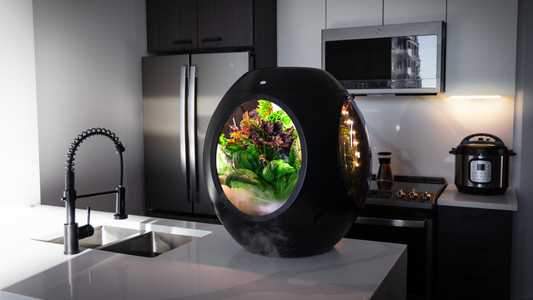 Introducing, Plantaform 3.0.