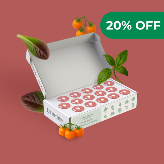 Mélange de tomates cerises