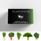 Superfood Salad Mix