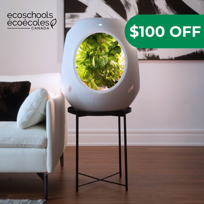 Plantaform EcoSchools Indoor Garden