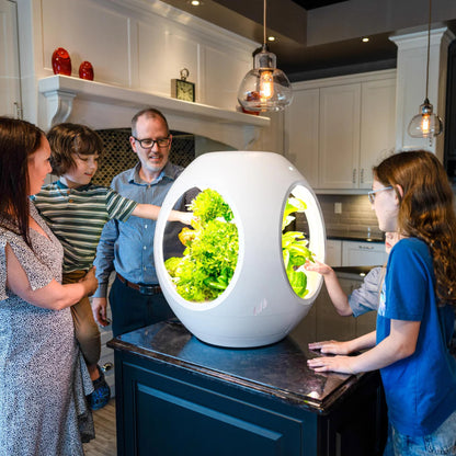 Plantaform EcoSchools Indoor Garden