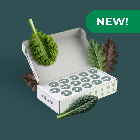 Mélange de salades de superaliments