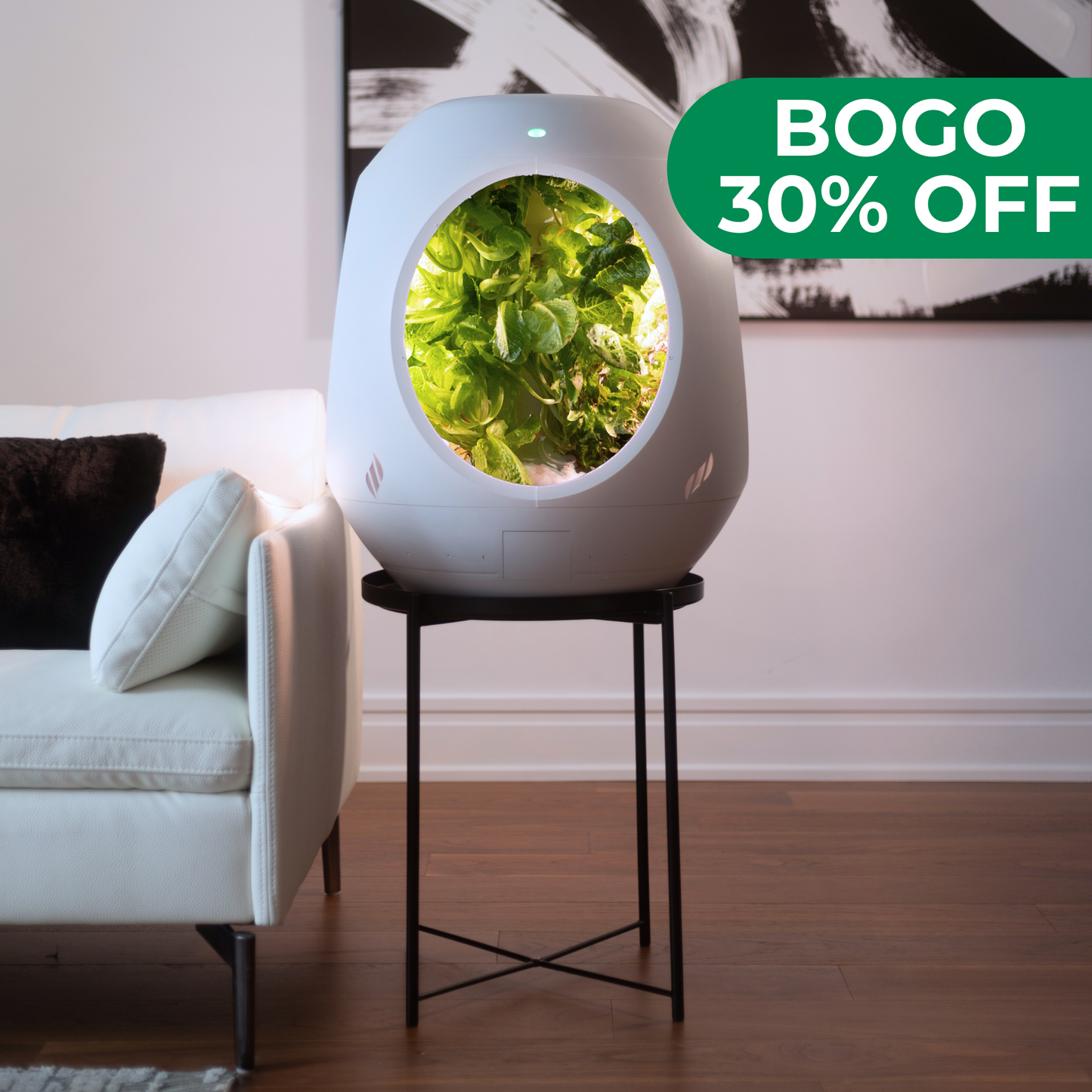 Jardin d'intérieur intelligent - Pack BOGO - Achetez-en un et obtenez-en un autre à 30 % de réduction !