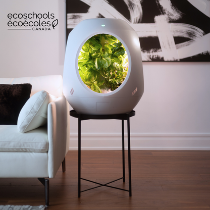 Plantaform EcoSchools Indoor Garden