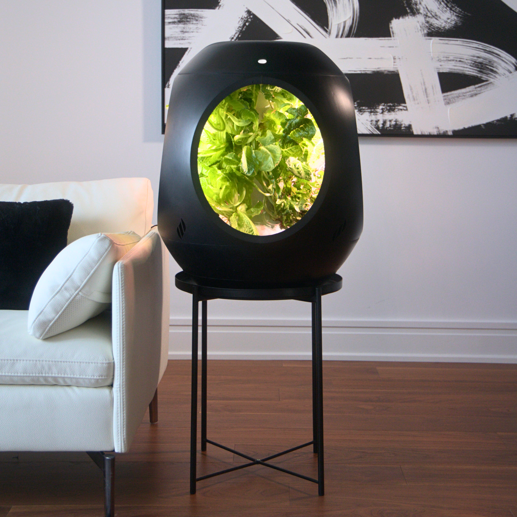 Jardin Intérieur Intelligent