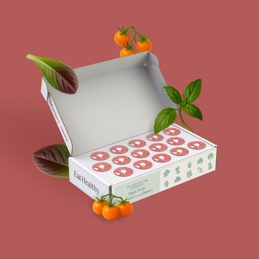 Mélange de tomates cerises