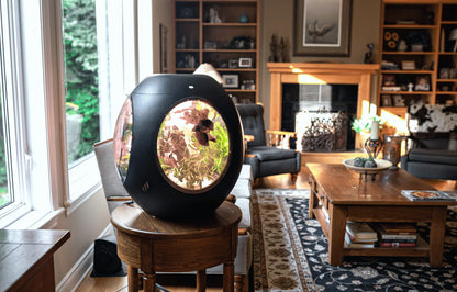 Jardin d'intérieur intelligent - Pack BOGO - Achetez-en un et obtenez-en un autre à 30 % de réduction !