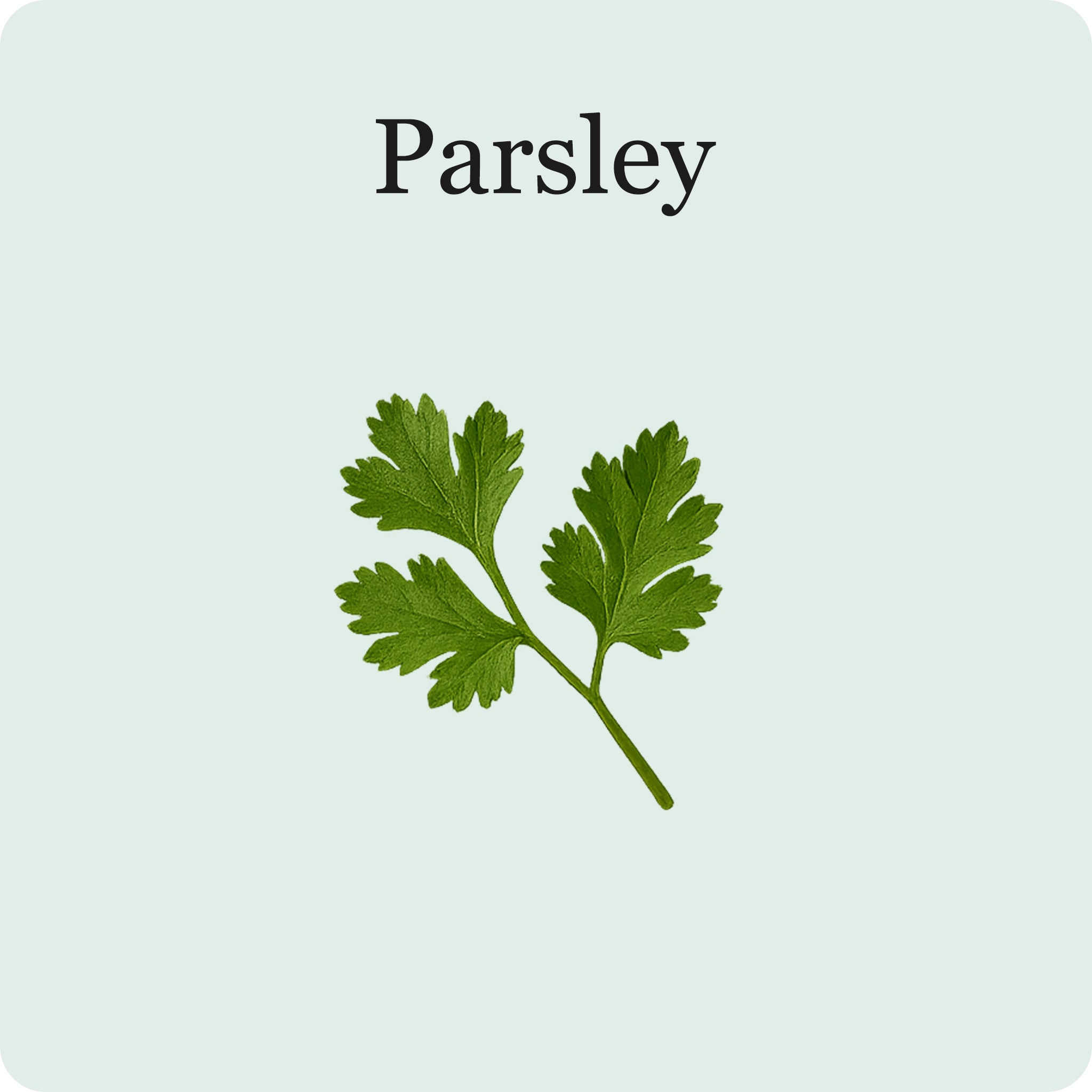 Herb Essentials