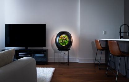 Jardin d'intérieur intelligent - Pack BOGO - Achetez-en un et obtenez-en un autre à 30 % de réduction !