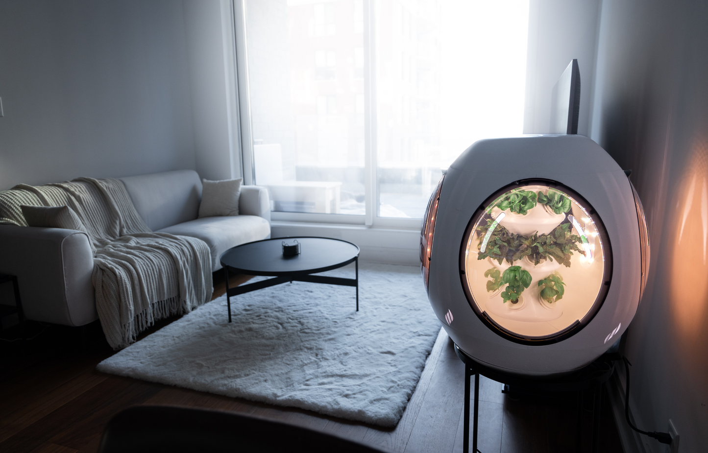 Smart Indoor Garden