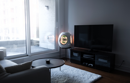 Jardin d'intérieur intelligent - Pack BOGO - Achetez-en un et obtenez-en un autre à 30 % de réduction !