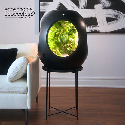 Plantaform EcoSchools Indoor Garden