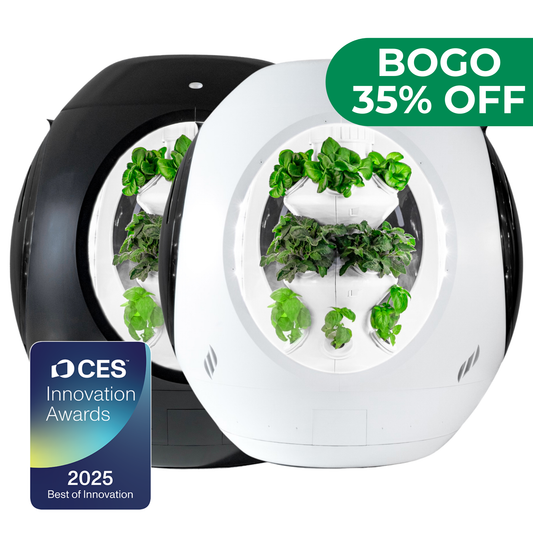 Jardin d'intérieur intelligent - Pack BOGO - Achetez-en un et obtenez-en un autre à 30 % de réduction !