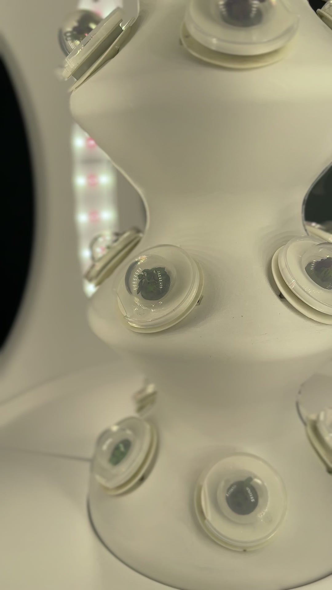 Set of 15 transparent germination domes for Rejuvenate.  These Plant Pod germination domes are designed to be placed on top of your Plant Pods & help maintain the correct humidity for your seeds during germination.